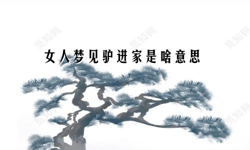 女人梦见驴进家是啥意思