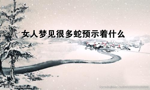 女人梦见很多蛇预示着什么