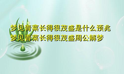 梦见青菜长得很茂盛是什么预兆梦见青菜长得很茂盛周公解梦