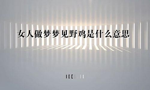 女人做梦梦见野鸡是什么意思