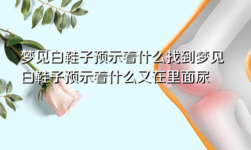 梦见白鞋子预示着什么找到梦见白鞋子预示着什么又在里面尿