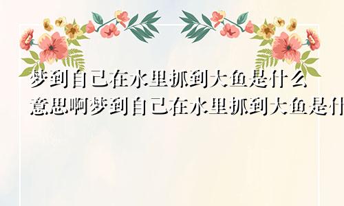 梦到自己在水里抓到大鱼是什么意思啊梦到自己在水里抓到大鱼是什么意思周公解梦