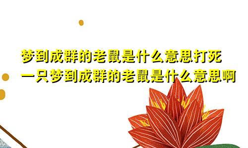 梦到成群的老鼠是什么意思打死一只梦到成群的老鼠是什么意思啊