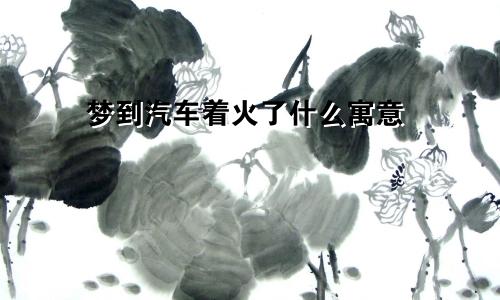 梦到汽车着火了什么寓意