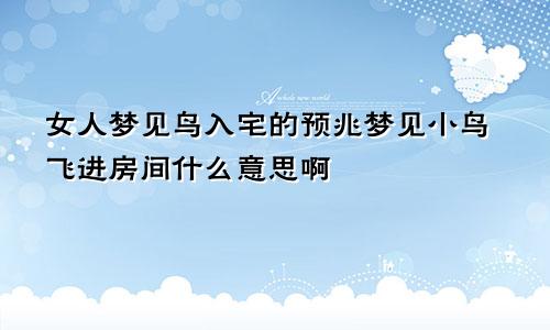 女人梦见鸟入宅的预兆梦见小鸟飞进房间什么意思啊
