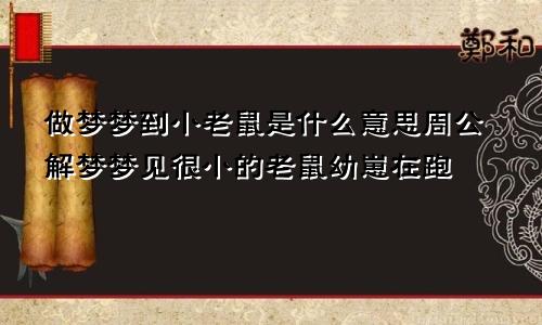 做梦梦到小老鼠是什么意思周公解梦梦见很小的老鼠幼崽在跑