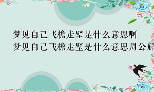 梦见自己飞檐走壁是什么意思啊梦见自己飞檐走壁是什么意思周公解梦