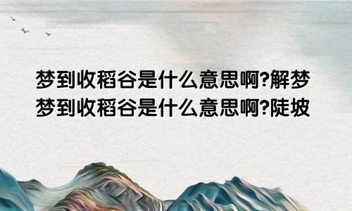 梦到收稻谷是什么意思啊?解梦梦到收稻谷是什么意思啊?陡坡