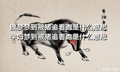 做梦梦到被猪追着跑是什么意思孕妇梦到被猪追着跑是什么意思