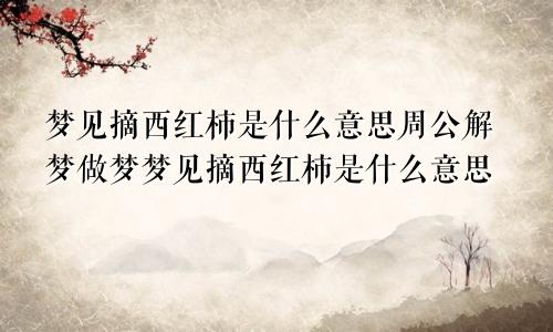 梦见摘西红柿是什么意思周公解梦做梦梦见摘西红柿是什么意思