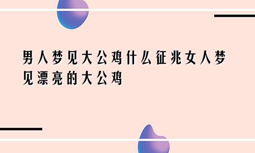 男人梦见大公鸡什么征兆女人梦见漂亮的大公鸡