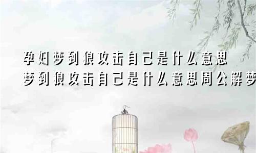 孕妇梦到狼攻击自己是什么意思梦到狼攻击自己是什么意思周公解梦