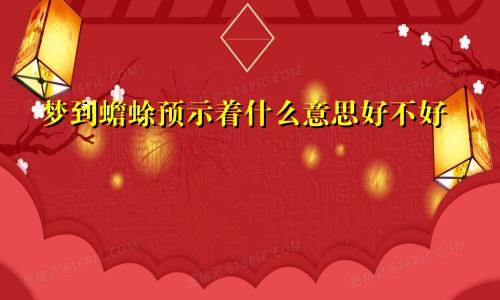 梦到蟾蜍预示着什么意思好不好