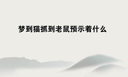梦到猫抓到老鼠预示着什么