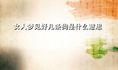 女人梦见好几条狗是什么意思