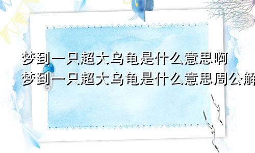 梦到一只超大乌龟是什么意思啊梦到一只超大乌龟是什么意思周公解梦