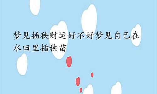 梦见插秧财运好不好梦见自己在水田里插秧苗