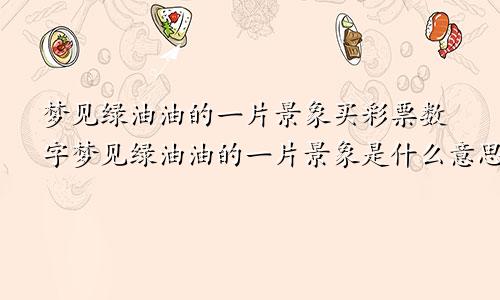 梦见绿油油的一片景象买彩票数字梦见绿油油的一片景象是什么意思