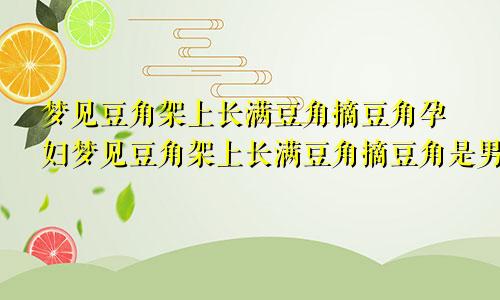 梦见豆角架上长满豆角摘豆角孕妇梦见豆角架上长满豆角摘豆角是男孩女孩