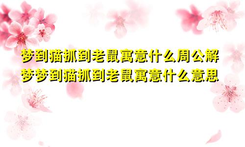 梦到猫抓到老鼠寓意什么周公解梦梦到猫抓到老鼠寓意什么意思