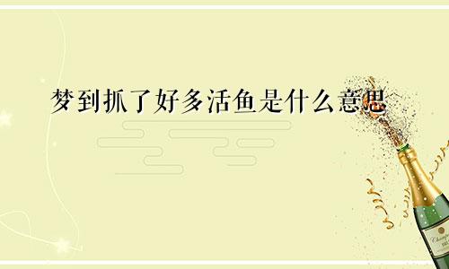 梦到抓了好多活鱼是什么意思