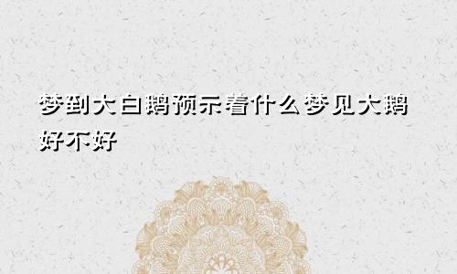 梦到大白鹅预示着什么梦见大鹅好不好