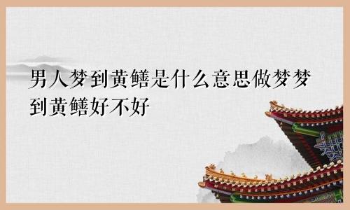 男人梦到黄鳝是什么意思做梦梦到黄鳝好不好