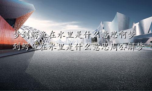 梦到鳄鱼在水里是什么意思啊梦到鳄鱼在水里是什么意思周公解梦