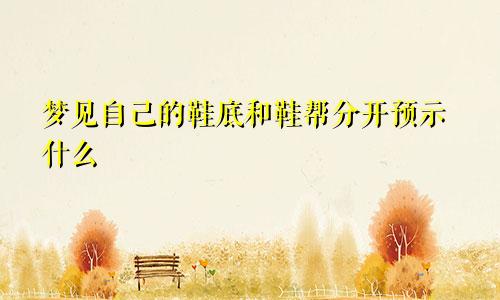 梦见自己的鞋底和鞋帮分开预示什么