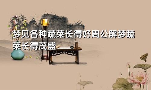 梦见各种蔬菜长得好周公解梦蔬菜长得茂盛