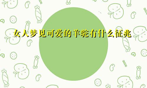 女人梦见可爱的羊驼有什么征兆