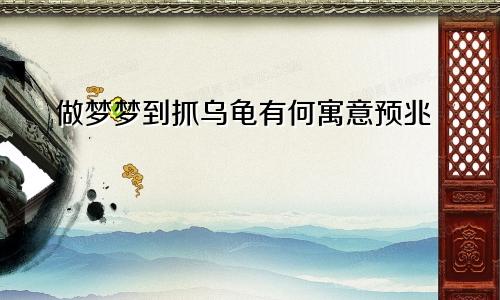 做梦梦到抓乌龟有何寓意预兆
