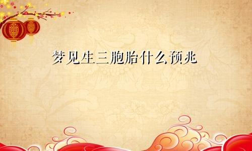 梦见生三胞胎什么预兆