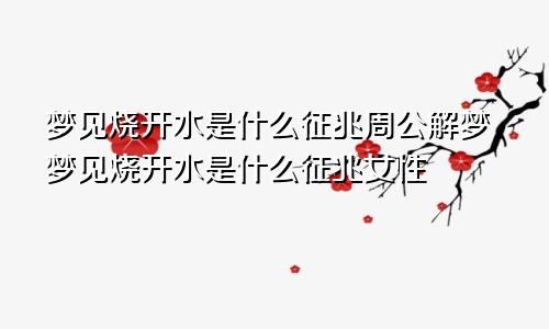 梦见烧开水是什么征兆周公解梦梦见烧开水是什么征兆女性