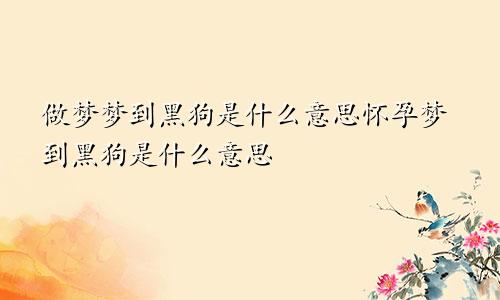做梦梦到黑狗是什么意思怀孕梦到黑狗是什么意思