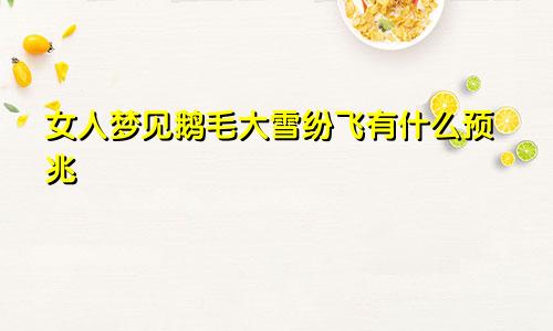 女人梦见鹅毛大雪纷飞有什么预兆