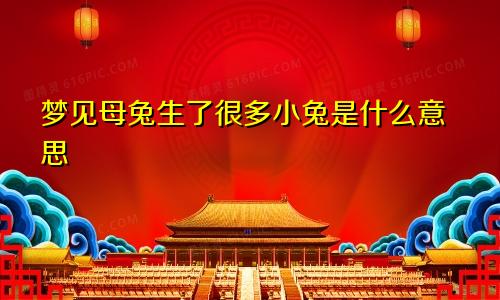 梦见母兔生了很多小兔是什么意思