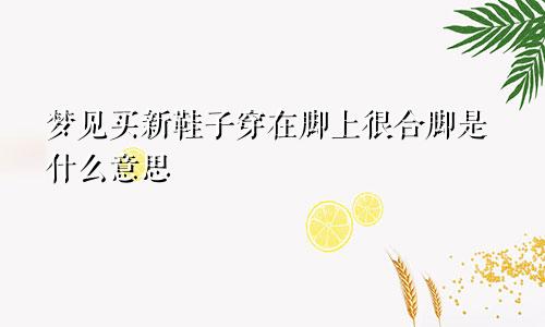 梦见买新鞋子穿在脚上很合脚是什么意思