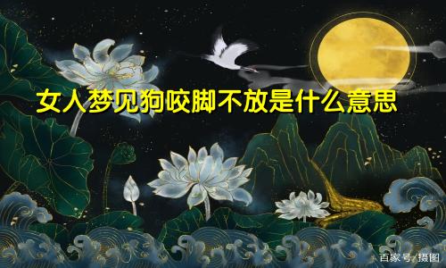 女人梦见狗咬脚不放是什么意思