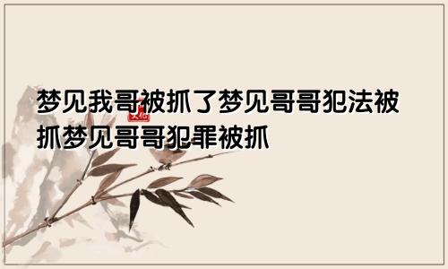 梦见我哥被抓了梦见哥哥犯法被抓梦见哥哥犯罪被抓