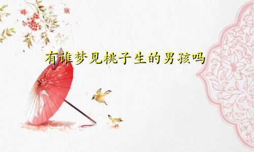 有谁梦见桃子生的男孩吗