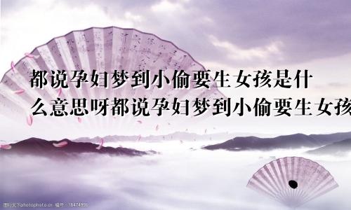 都说孕妇梦到小偷要生女孩是什么意思呀都说孕妇梦到小偷要生女孩是什么意思呢