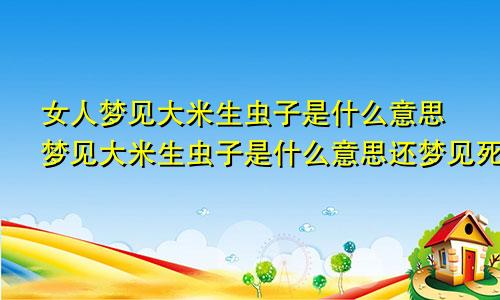 女人梦见大米生虫子是什么意思梦见大米生虫子是什么意思还梦见死去的妈妈