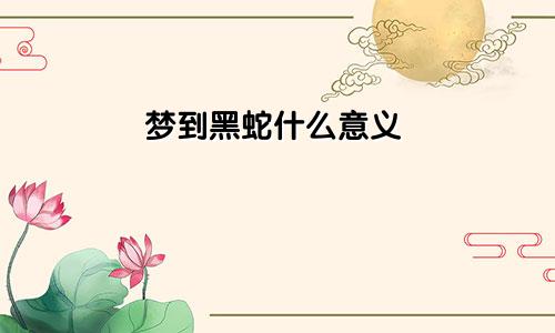 梦到黑蛇什么意义