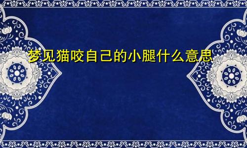梦见猫咬自己的小腿什么意思