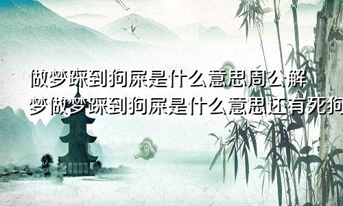 做梦踩到狗屎是什么意思周公解梦做梦踩到狗屎是什么意思还有死狗