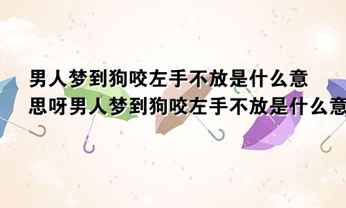 男人梦到狗咬左手不放是什么意思呀男人梦到狗咬左手不放是什么意思呢