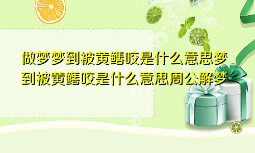 做梦梦到被黄鳝咬是什么意思梦到被黄鳝咬是什么意思周公解梦