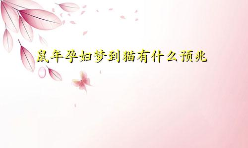 鼠年孕妇梦到猫有什么预兆