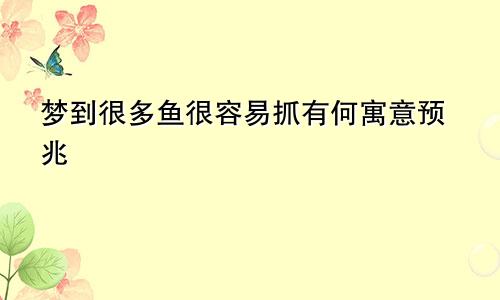 梦到很多鱼很容易抓有何寓意预兆